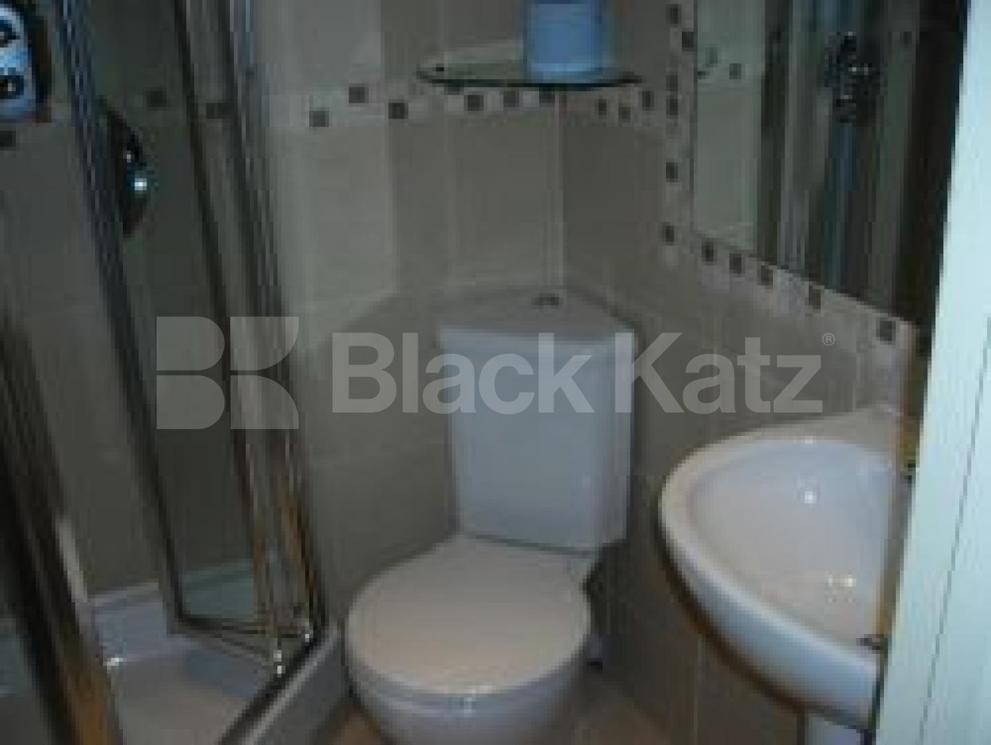 			REDUCED PRICE!!, Studio Apartment, 1 bath, 1 reception Flat			 St Chads Street, RUSSELL SQUARE WC1H